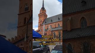 Katedra Narodzenia NMP w Tarnowie tarnów church cathedral [upl. by Macmullin670]