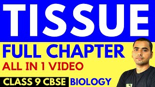 TISSUE FULL CHAPTER  CLASS 9 CBSE [upl. by Sully]