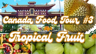 Canada Food Tour 3 Mississauga Chinese Centre – Tropical Fruit amp Food Finds MustVisit Spots [upl. by Kotick]