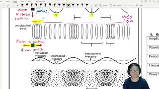 71a Transverse and Longitudinal Waves  AS Waves  Cambridge A Level 9702 Physics [upl. by Anirrok262]