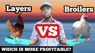 Layer VS Broiler Chicken  Which is More Profitable [upl. by Enneira]