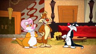 Looney Tunes  Ready Set Catch the Roadrunner  Classic Cartoon  WB Kids [upl. by Sirromad548]