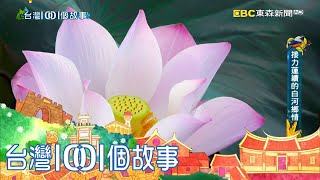 白河荷花美麗盛放 蓮子採收耗時費工 part4 台灣1001個故事｜白心儀 [upl. by Jolyn]