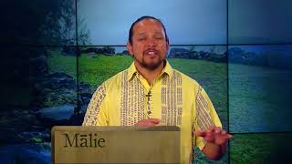 Hawaiian Word of the Day  Malie [upl. by De Witt]