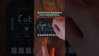 KORG NuTekt NTS1 mkII digital kit  Overview amp Demo [upl. by Marpet77]