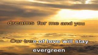 EVERGREEN TREE KARAOKE VERSION [upl. by Adnohsed]