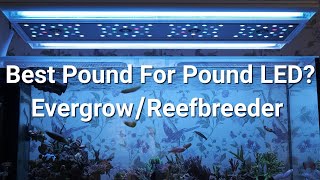 Evergrow IT5012Reefbreeder Photon v2 Users Review First Impressions [upl. by Aneerak]