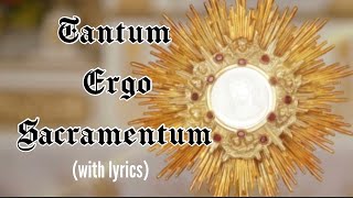 Tantum ergo Sacramentum lyrics Holy Hour HymnEucharistic Adoration Chant Catholic [upl. by Mavra]