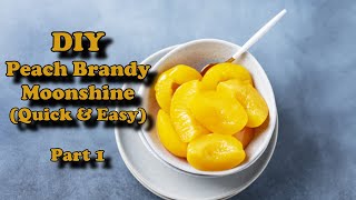 DIY Peach Brandy Moonshine Part1 [upl. by Halima]