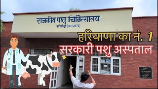 हरियाणा का No1  सरकारी पशु अस्पताल  Top GVH  Sanghoi  Karnal  Haryana veterinary [upl. by Ylsew]