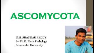 Phylum Ascomycota  General Characters  Plant Pathology  BSc Agriculture [upl. by Hako]