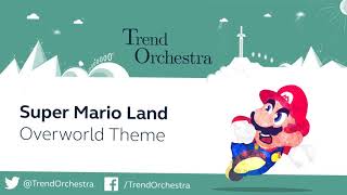 Super Mario Land Overworld  Orchestral Cover [upl. by Swigart]