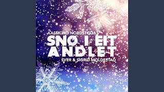 Snø i eit andlet [upl. by Dre]