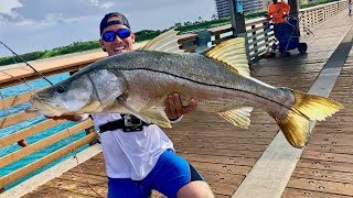 Florida Pier Produces HUGE Fish Juno Pier Snook Fishing [upl. by Ryun]