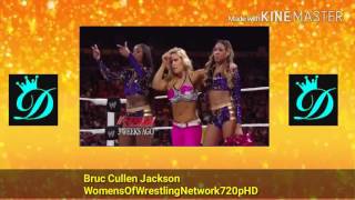 WWE Night Of Champions 2013 Natalya vs Brie Bella vs Naomi vs AJ Lee [upl. by Matthaus]