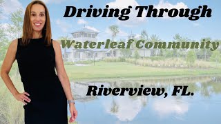 Neighborhood Tour Waterleaf CommunityRiverview FL [upl. by Ettenav625]