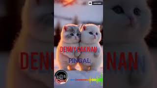 DENNY CAKNAN PINGALdcproductions dennycaknan pingal [upl. by Kimball]