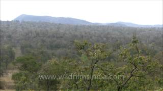 Satpura panoramic view Madhya Pradesh [upl. by Adnocahs]