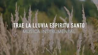 Instrumental Adoración Profética  Uniendo en cielo y la tierra [upl. by June]