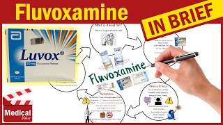 Fluvoxamine Luvox What Is Fluvoxamine Used For Uses Dosage and Side Effects of Fluvoxamine [upl. by Schram]