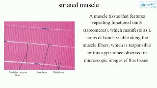 striated muscle English  Medical terminology for medical students [upl. by Hanonew]