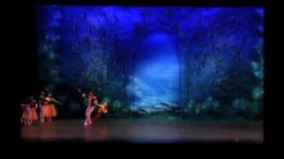 Moscow Ballets Swan Lake overview in 2 minutes [upl. by Emil]