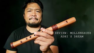 Mollenhauer Dream Recorder Review [upl. by Eerehs673]