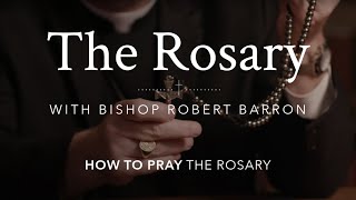 How to Pray the Rosary with Bishop Barron [upl. by Lemor]