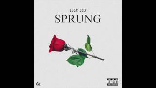 Lucas Coly  Sprung New Music 2017 [upl. by Henricks343]