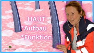 Die Haut Aufbau und Funktion [upl. by Salvay]