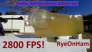 Pellets Nail Gun Blanks Ballistic Gel amp 2800 FPS [upl. by Nnaeel]