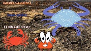 GIGANTES CARANGUEJOS TOMAM CONTROLE DA TERRA SEM OCEANO [upl. by Ttirrem]