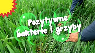 Biologiczne środki ochrony roślin — konieczność czy alternatywa [upl. by Lleneg]