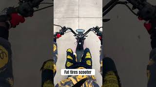 Watch this fat tires electric scooter out [upl. by Euqinehs]