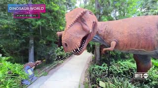 Dinosaur World in Plant City Florida  Taste and See Tampa Bay [upl. by Airahs]