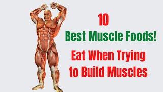 Best Foods To Eat For Muscle Gain  10 Best Muscle Foods To Eat [upl. by Assylem351]