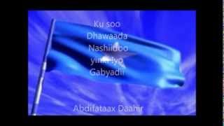 Nashiido dalkeygow No music [upl. by Nahseez]