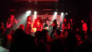 THE FUZZTONES  Strychnine The Sonics cover Valencia 030514 [upl. by Hcirdeirf]