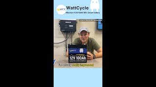 Inside the WattCycle 12V 100Ah Mini Bluetooth Battery Capacity Safety and Power Tests [upl. by Aicnatsnoc]