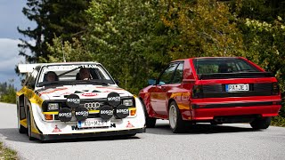 Quattrolegende 2020  Audi S1 S1 Pikes Peak Quattrowarrior Sportquattro and many more [upl. by Rossie]