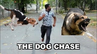 THE DOG CHASE [upl. by Melita]