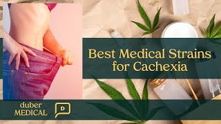 Best Medical Strains for Cachexia [upl. by Toddie287]