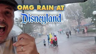 Wild Rainy day at Disneyland [upl. by Nidraj974]