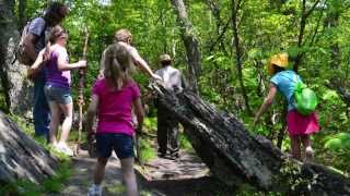 Basics of Hiking with Kids [upl. by Trotta]