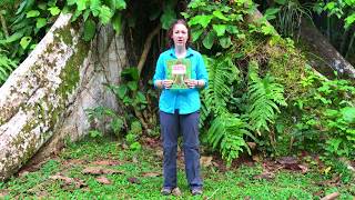 Detroit Zoo  National Reading Month The Great Kapok Tree [upl. by Wein]