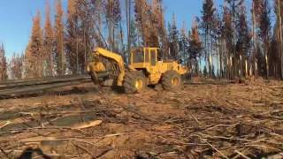 John Deere Skidder Grapple 648GII [upl. by Lezned]