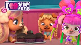 VIP PETS Season 1 Adventures Full Episodes of ALL S1 Compilation 🌈 Enjoy Cartoons for Kids [upl. by Camus135]