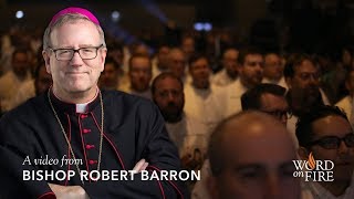 Bishop Barron on Priestly Celibacy [upl. by Uttasta]