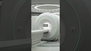 Inside the MRI How Magnetism Helps Us See the Body [upl. by Barnes]