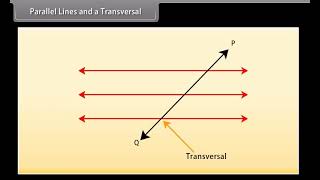 Standard 9 Maths Chapter 6  Lines and Angles  Quick revision [upl. by Ojillib630]